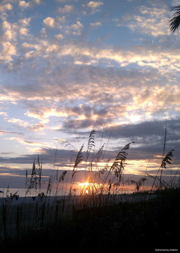 Sunset of the Day