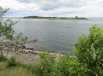 IMG_1675.jpg
