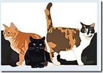 Cattura Cattura