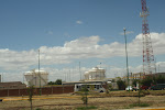 IMG_7374.JPG
