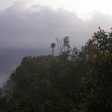A cloudy morning near the summit of Burangrang (Daniel Quinn, November 2011)