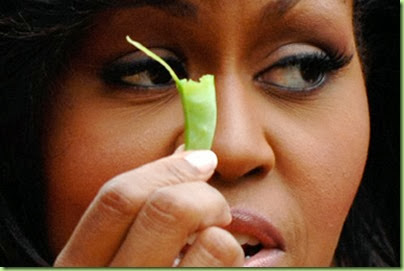 u_s_first_lady_michelle_obama_holds_a_bean_harvested_from_vegetables_grown_in_her_garden_at_the_white_house_in_washington_june_16_2009