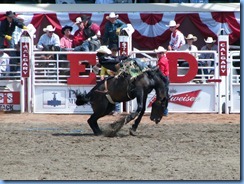 9405 Alberta Calgary - Calgary Stampede 100th Anniversary - Stampede Grandstand - Calgary Stampede Bareback Championship 9405 Alberta Calgary - Calgary Stampede 100th Anniversary - Stampede Grandstand - Calgary Stampede Bareback Championship