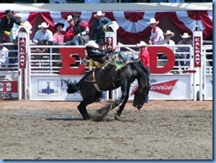 9405 Alberta Calgary - Calgary Stampede 100th Anniversary - Stampede Grandstand - Calgary Stampede Bareback Championship