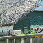 IMG_7508.JPG