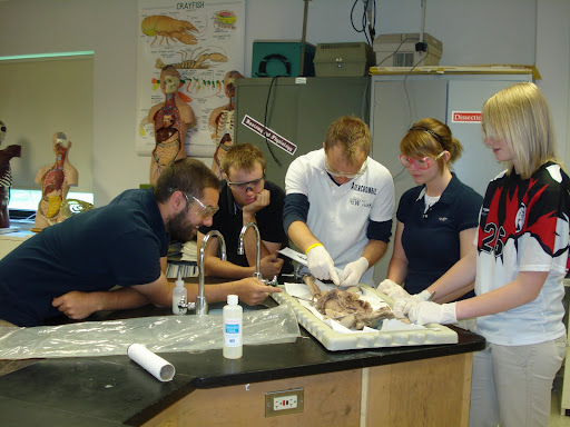 Students dissecting