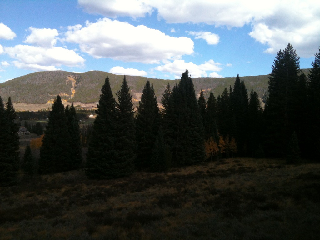 [IMG_12893.jpg]