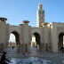 Tauben in Casablanca
