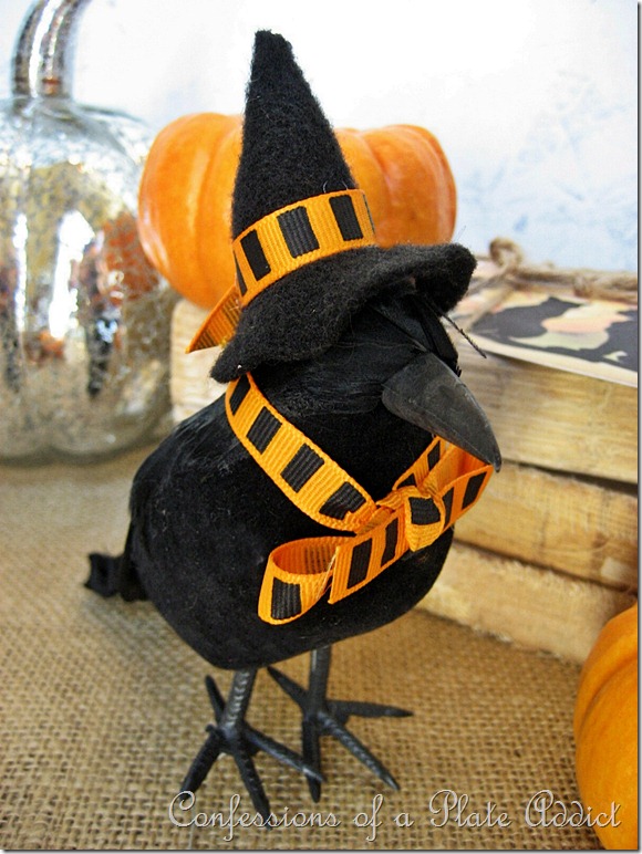 Orange Witchy Crow