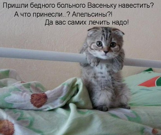 [80708641_1047315%255B3%255D.jpg]