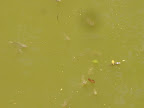 DSC05129.jpg