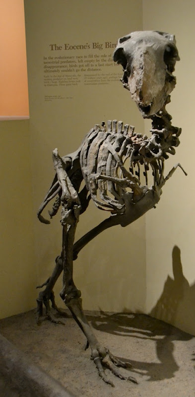 NaturalHistory_9