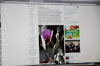 It is, Francesca!  I noticed that Martha had put her namesake orchid in the kitchen and it prompted me to look up some information about it!