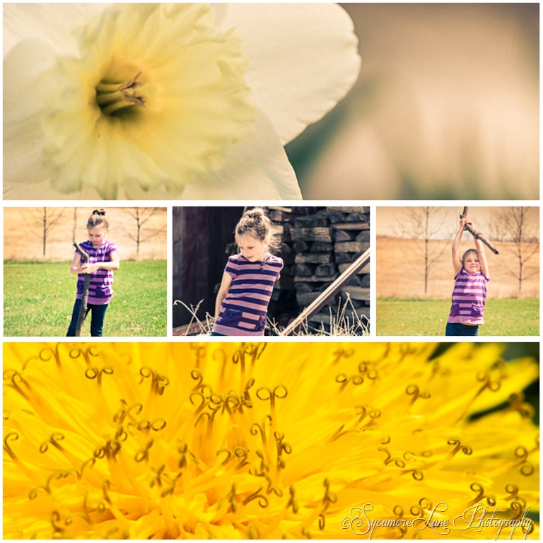 [Spring-flowers-and-sis-SycamoreLane-.jpg]