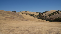 DSC02977.jpg