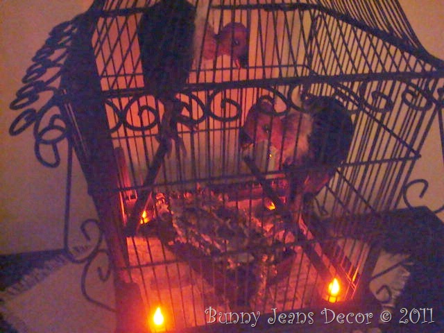 Buzzard Cage