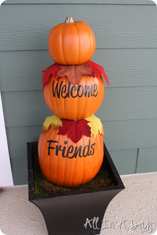 IMG_6361 IMG_6361