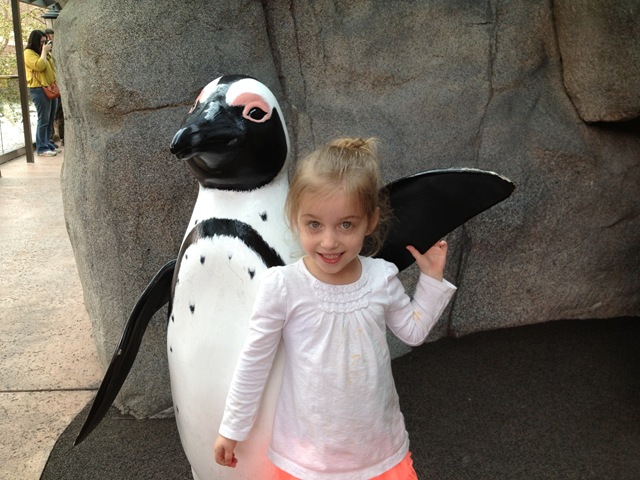 [IMG_4972%255B6%255D.jpg]