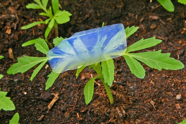 aerogel