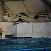 hokkaido_467.jpg