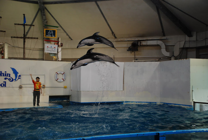 hokkaido_467.jpg