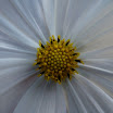 DSC01934.JPG