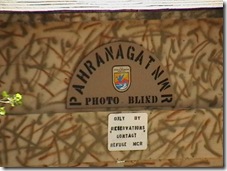 IMGA0845 IMGA0845