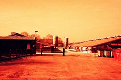 Farm-Life-25---XPRO