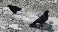 CIMG3410.JPG Photo