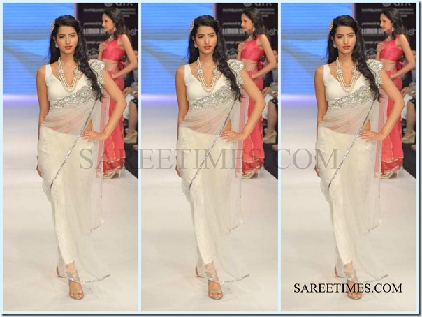 Jashn_IIJW_Saree (3)