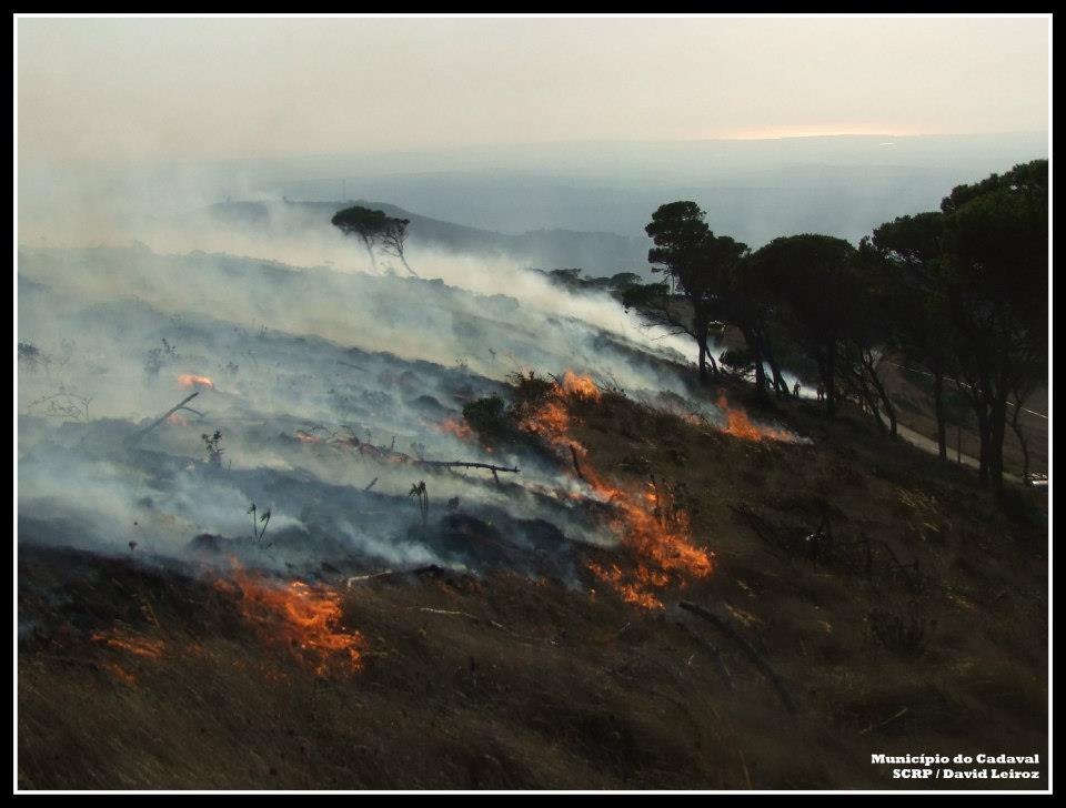 [644479_10151252719613714_1999131515_n%255B3%255D.jpg]