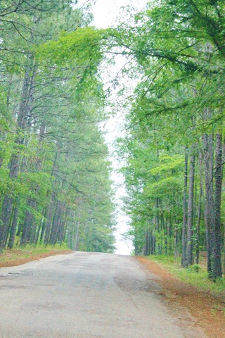 [PINE%2520COVE%2520013%255B5%255D.jpg]
