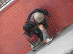 IMG_7779.JPG