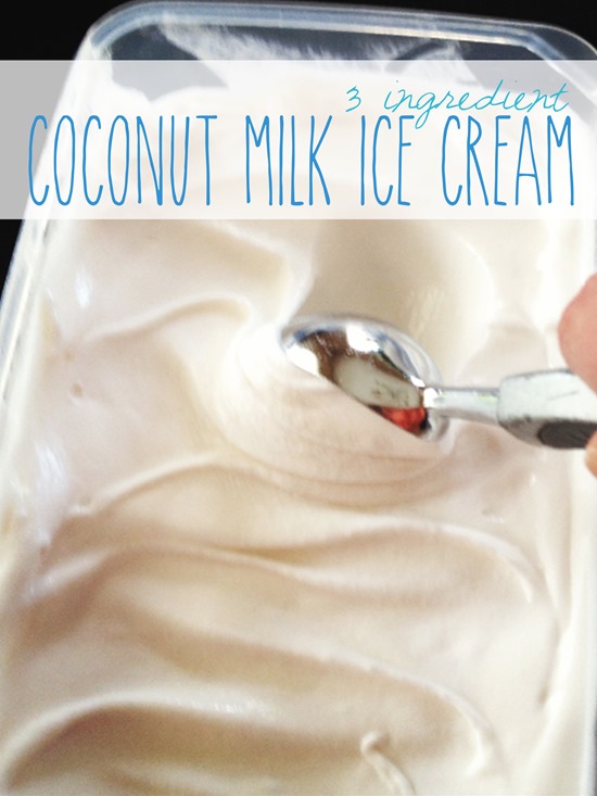 Coconut Milk Ice Cream