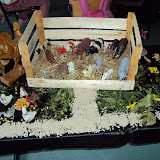 DSC00939.JPG