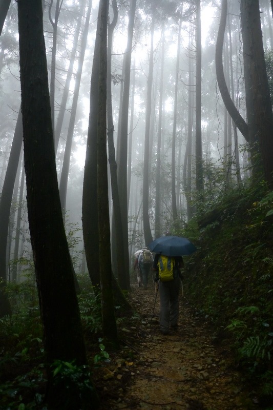 2013_0413 橫嶺山木馬古道_023