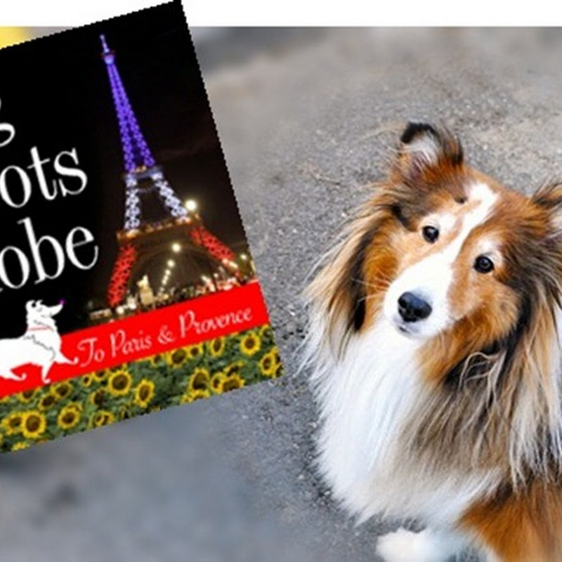 Dog Trots Globe: To Paris and Provence...A Review and a Giveaway!