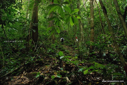 gunung_gading_summit_hike_07