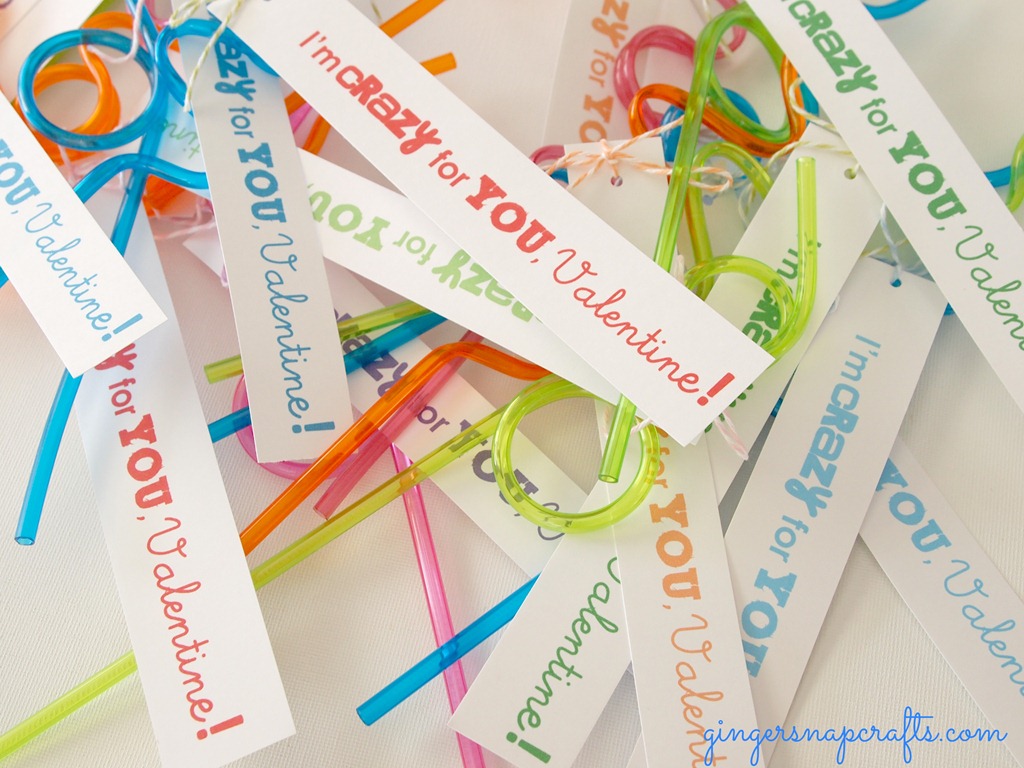 [crazy-straws-for-valentines4.jpg]