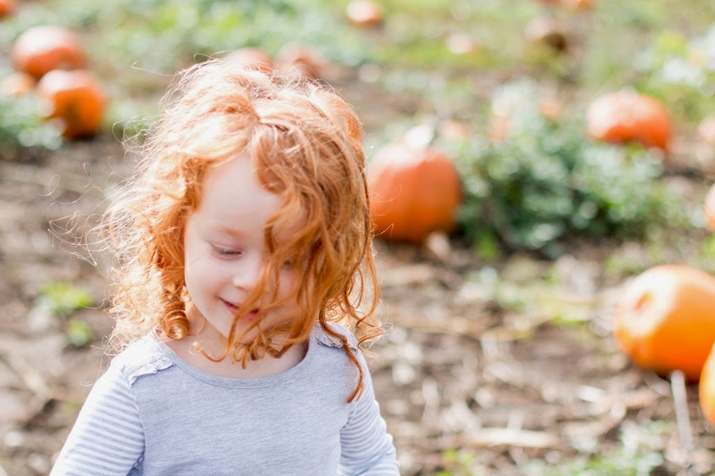 [IMG_1062%255B4%255D.jpg]