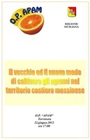 Senza titolo 1 Senza titolo 1