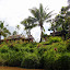 Arrival at Koromakalua Village - Suva, Fiji