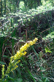 2011-08-20 15.10.55.jpg