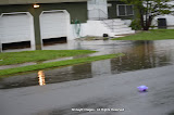 Rain Caused Flooding At Stonehouse & Francis Area (Photos by Meir Rothman) - DSC_0142.JPG