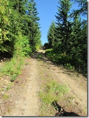 IMG_8158 IMG_8158