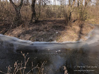 rz. Główna rz. Główna