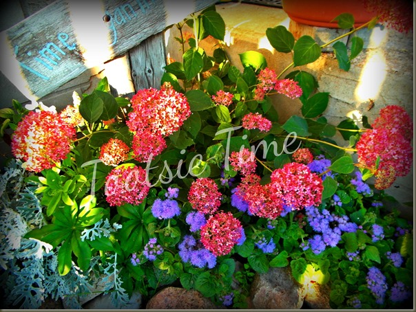 BeFunky_024.jpg BeFunky_024.jpg