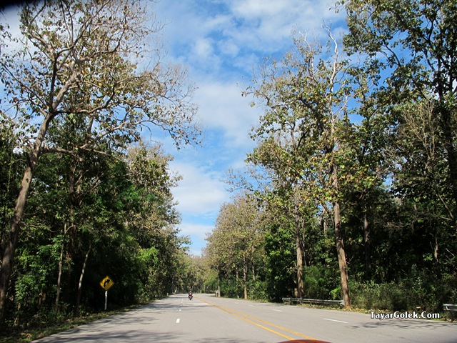[IMG_75422.jpg]