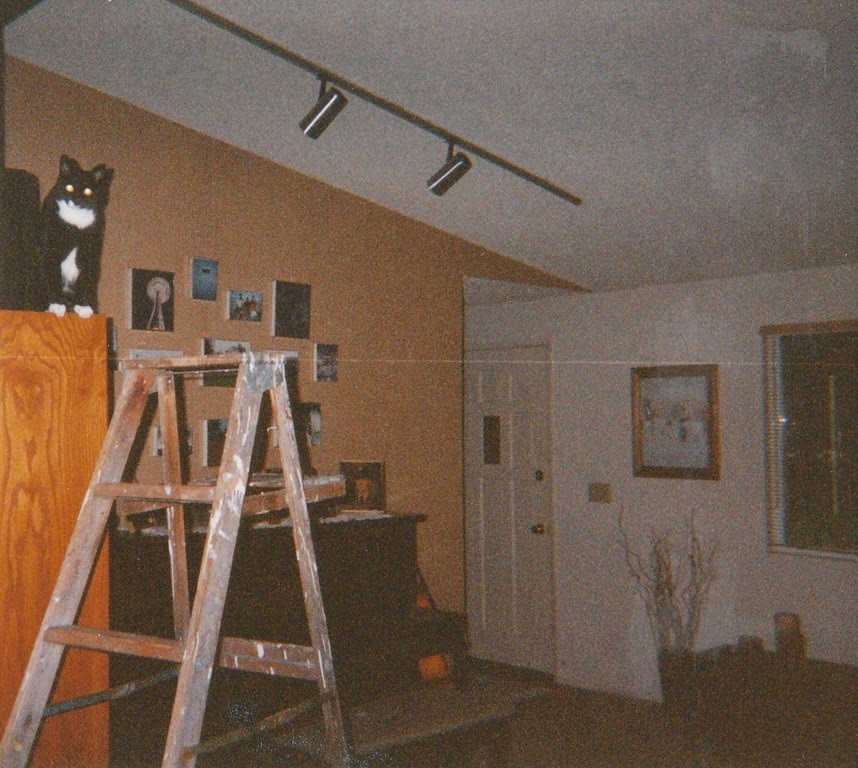 [ladder-kitty3.jpg]