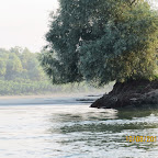 IMG_6452.JPG